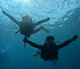 武藤潜水に投稿された画像（2023/9/5）