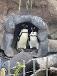 サンシャイン水族館に投稿された画像（2023/9/5）