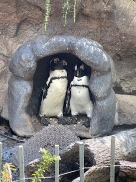 サンシャイン水族館に投稿された画像（2023/9/5）