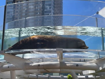 サンシャイン水族館に投稿された画像（2023/9/5）