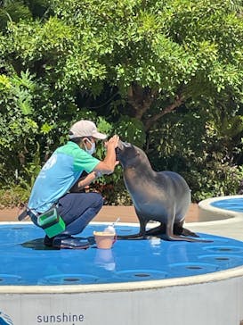 サンシャイン水族館に投稿された画像（2023/9/5）