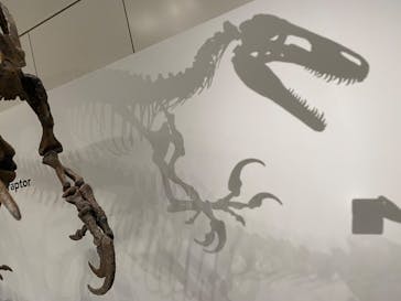 大阪市立自然史博物館に投稿された画像（2023/9/5）