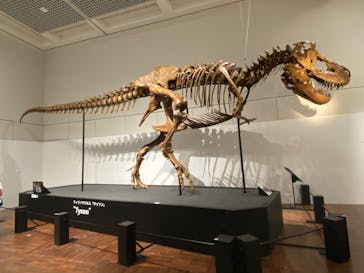 大阪市立自然史博物館に投稿された画像（2023/9/5）