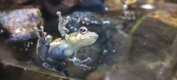 体感型動物園iZooに投稿された画像（2023/9/5）