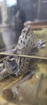 体感型動物園iZooに投稿された画像（2023/9/5）