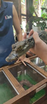 体感型動物園iZooに投稿された画像（2023/9/5）