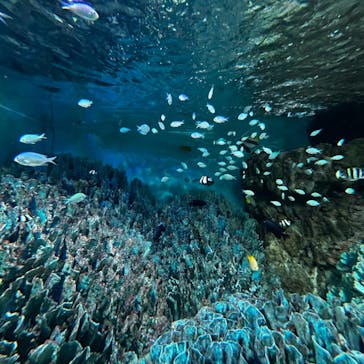 サンシャイン水族館に投稿された画像（2023/9/5）