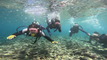 武藤潜水に投稿された画像（2023/9/5）