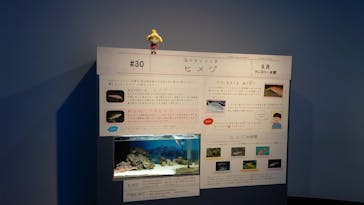 上越市立水族博物館 うみがたりに投稿された画像（2023/9/5）