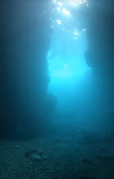 武藤潜水に投稿された画像（2023/9/5）