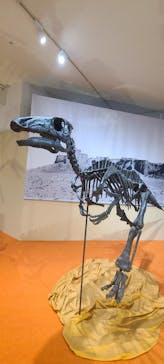 特別展「化石ハンター展 ～ゴビ砂漠の恐竜とヒマラヤの超大型獣～」に投稿された画像（2023/9/5）