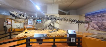 特別展「化石ハンター展 ～ゴビ砂漠の恐竜とヒマラヤの超大型獣～」に投稿された画像（2023/9/5）