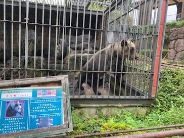 阿蘇カドリー・ドミニオンに投稿された画像（2023/9/5）