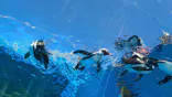 サンシャイン水族館に投稿された画像（2023/9/5）