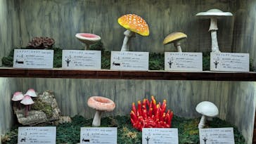 サンシャイン水族館に投稿された画像（2023/9/5）