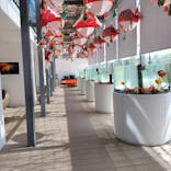 環境水族館アクアマリンふくしまに投稿された画像（2023/9/5）