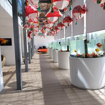 環境水族館アクアマリンふくしまに投稿された画像（2023/9/5）