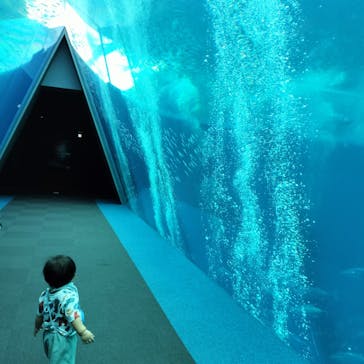 環境水族館アクアマリンふくしまに投稿された画像（2023/9/5）