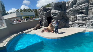 鴨川シーワールドに投稿された画像（2023/9/5）