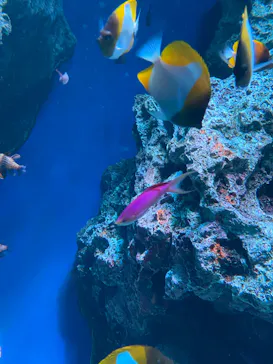 マクセル アクアパーク品川に投稿された画像（2023/9/5）