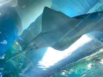 マクセル アクアパーク品川に投稿された画像（2023/9/5）