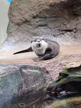 仙台うみの杜水族館に投稿された画像（2023/9/5）
