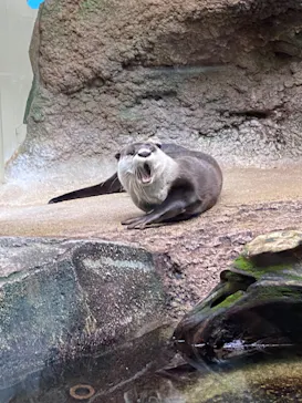 仙台うみの杜水族館に投稿された画像（2023/9/5）