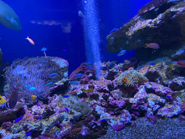 仙台うみの杜水族館に投稿された画像（2023/9/5）