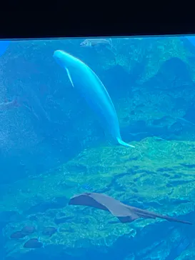 仙台うみの杜水族館に投稿された画像（2023/9/5）