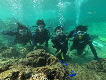 武藤潜水に投稿された画像（2023/9/5）