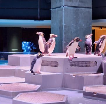 AOAO SAPPOROに投稿された画像（2023/9/5）