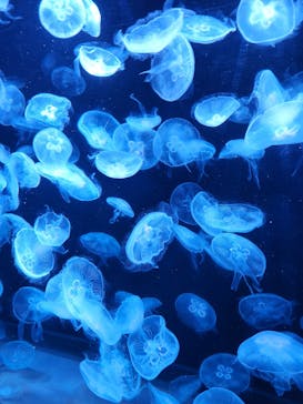 AOAO SAPPOROに投稿された画像（2023/9/5）