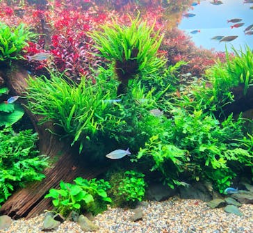 AOAO SAPPOROに投稿された画像（2023/9/5）