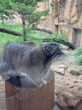 那須サファリパークに投稿された画像（2023/9/5）