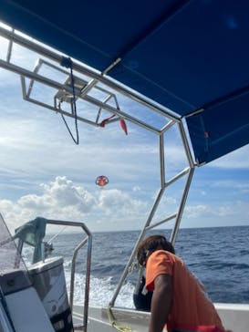 Sea World（シーワールド）に投稿された画像（2023/9/5）