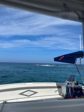 Sea World（シーワールド）に投稿された画像（2023/9/5）