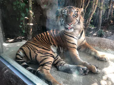 神戸どうぶつ王国に投稿された画像（2023/9/5）