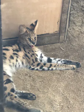 神戸どうぶつ王国に投稿された画像（2023/9/5）