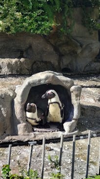 サンシャイン水族館に投稿された画像（2023/9/5）