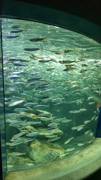 サンシャイン水族館に投稿された画像（2023/9/5）