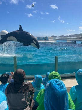 鴨川シーワールドに投稿された画像（2023/9/5）