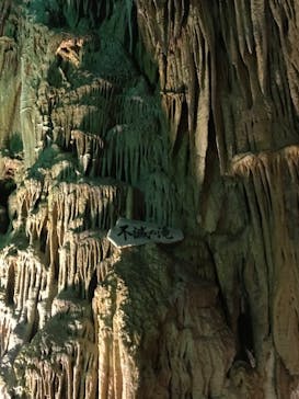 あぶくま洞に投稿された画像（2023/9/5）