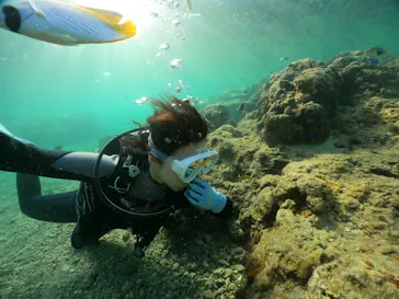 武藤潜水に投稿された画像（2023/9/5）