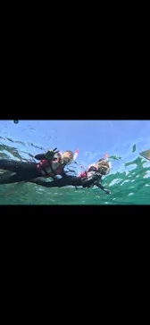 武藤潜水に投稿された画像（2023/9/6）