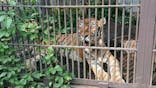 宇都宮動物園に投稿された画像（2023/9/6）