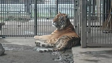 宇都宮動物園に投稿された画像（2023/9/6）