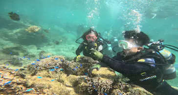 武藤潜水に投稿された画像（2023/9/6）