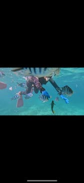 青の洞窟専門店　沖縄ダイビングショップ和に投稿された画像（2023/9/6）