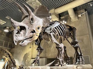 国立科学博物館に投稿された画像（2023/9/6）