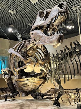 国立科学博物館に投稿された画像（2023/9/6）